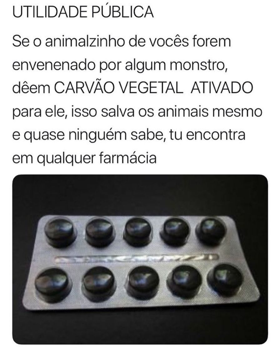 Fashion Para salvar o PET