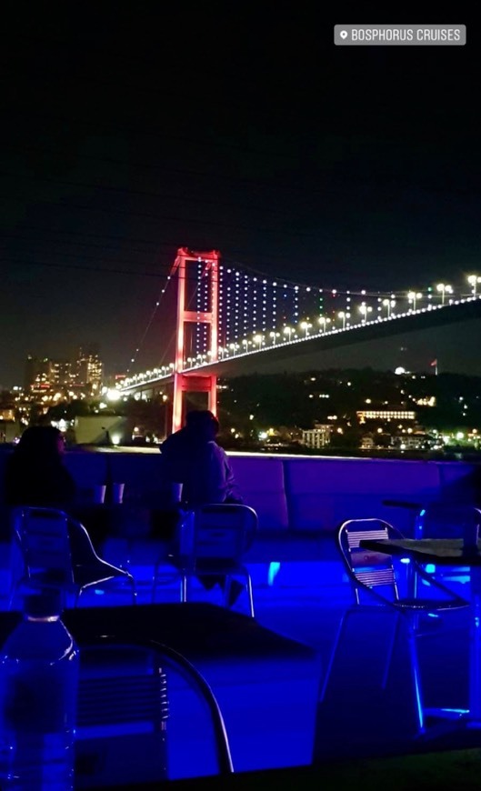 Place Bosphorus Cruise Tours Istanbul