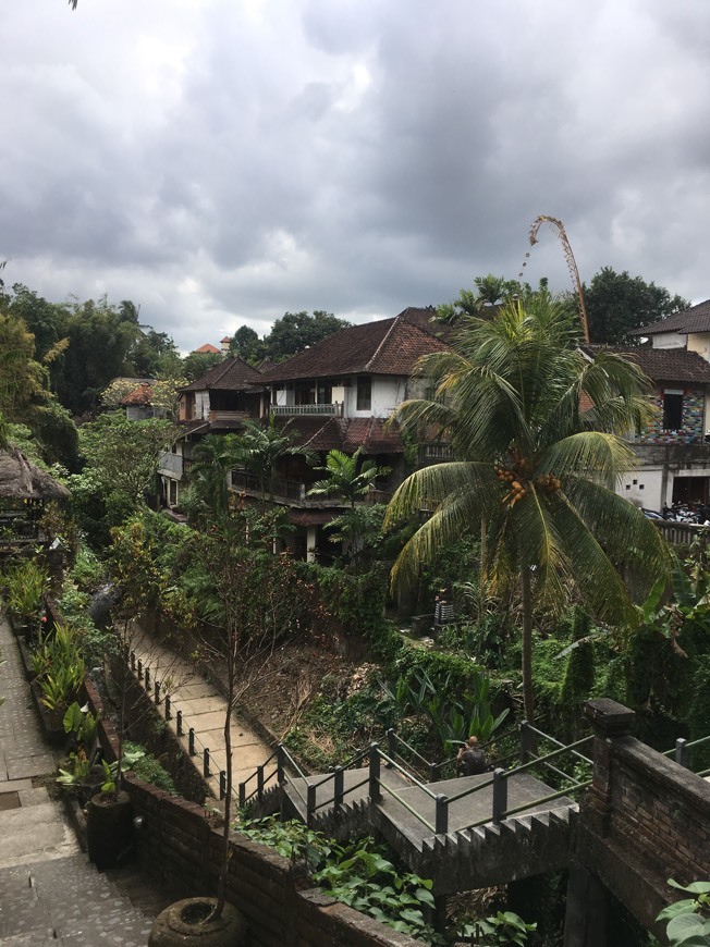 Lugar Ubud