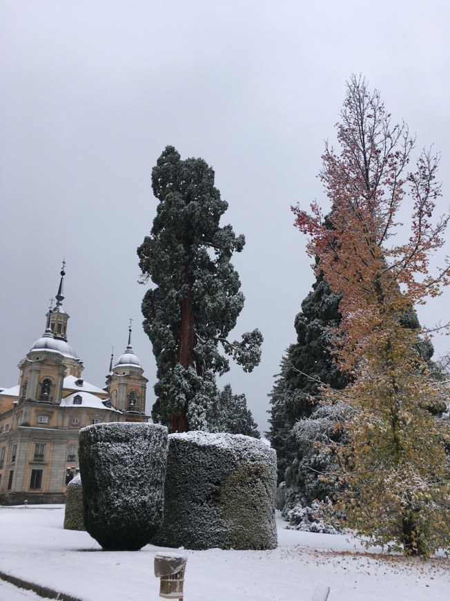 Lugar La Granja de San Ildefonso