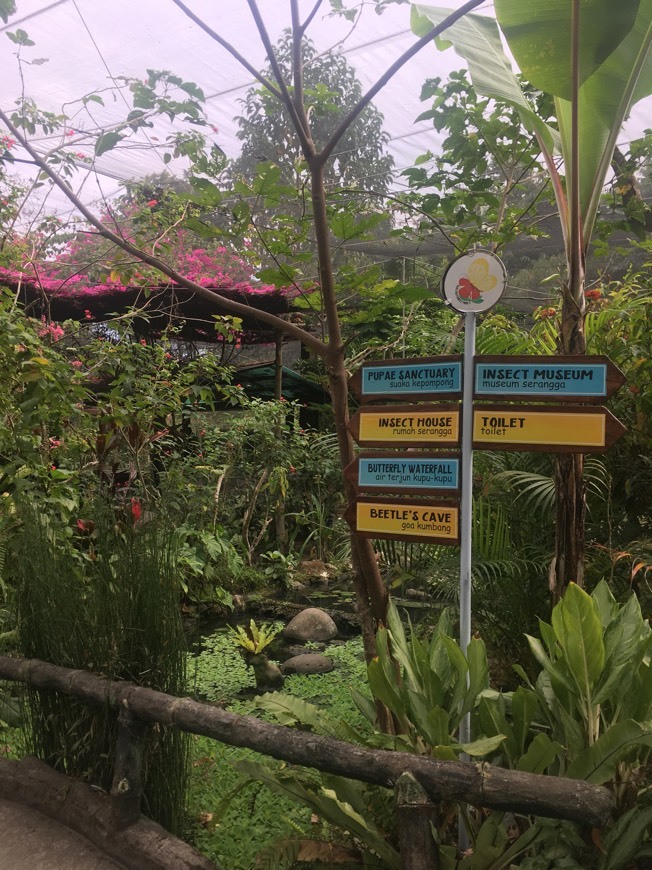 Lugar Bali Butterfly Park