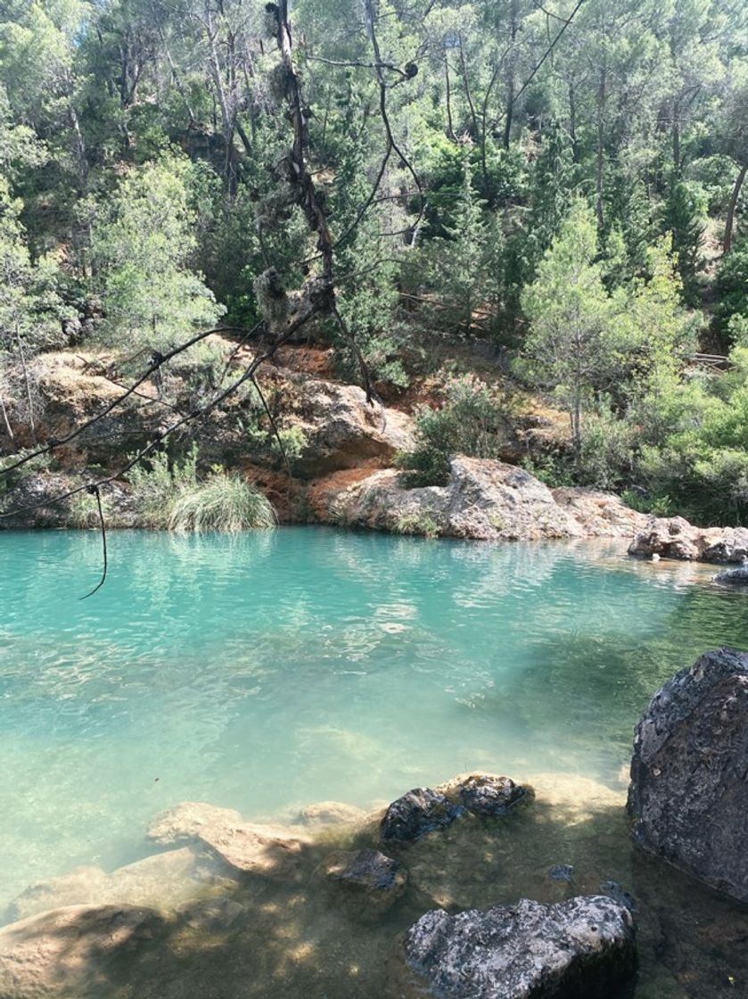 Place Charco de La Pringue