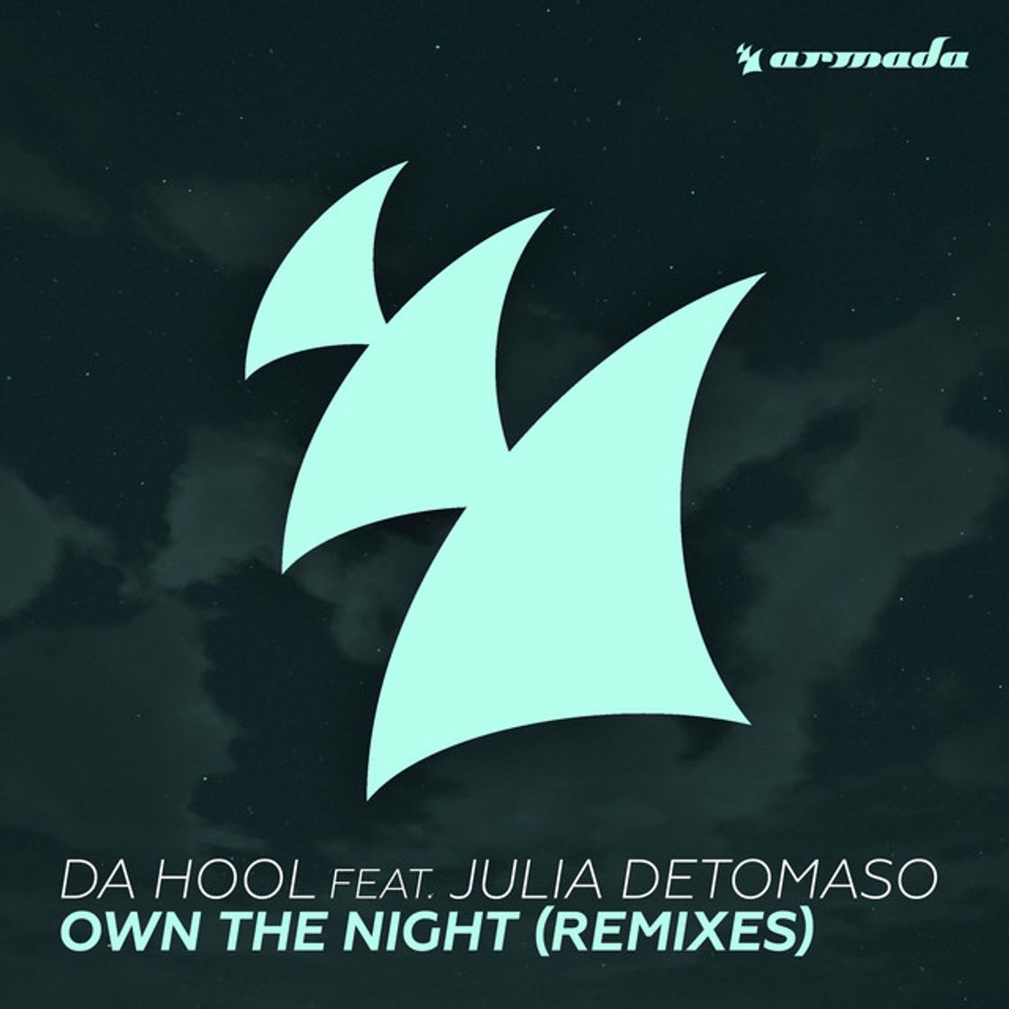 Music Own The Night - Cyborgs and Da Hool Remix