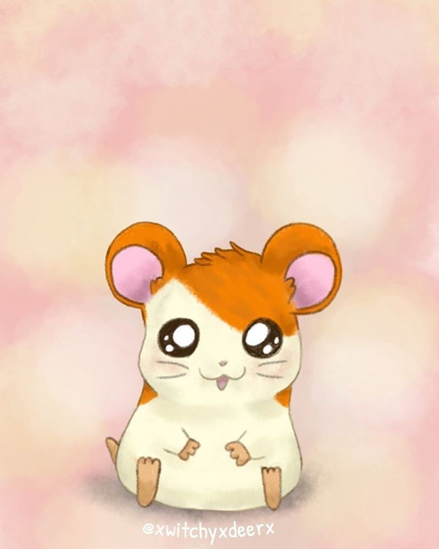 Hamtaro🐹