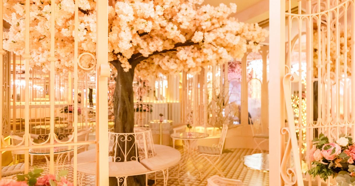 Restaurants Bloom