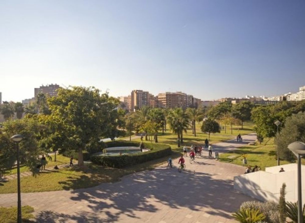 Lugar Jardín Del Turia Tramo 4 Bosque Mediterráneo