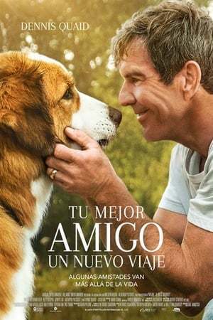 Movie Tu mejor amigo: Un nuevo viaje