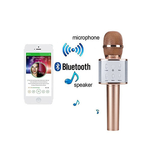 Ryrty(TM) Altavoz micrš®fono de karaoke nuevo Bluetooth sin hilos del jugador profesional