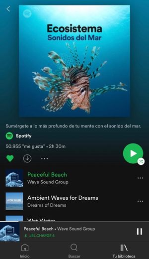 Ecosistema sonidos del mar 
