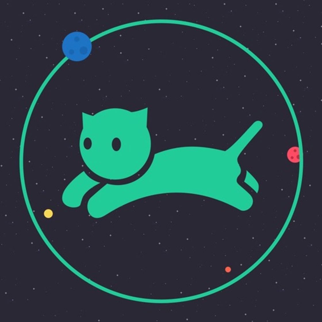 App VPN cat master - express proxy