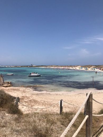 Playa de Ses Illetes