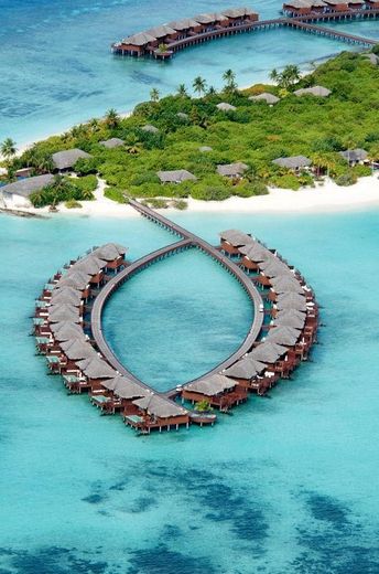 Maldive Islands