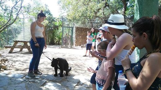 Zoo de Castellar