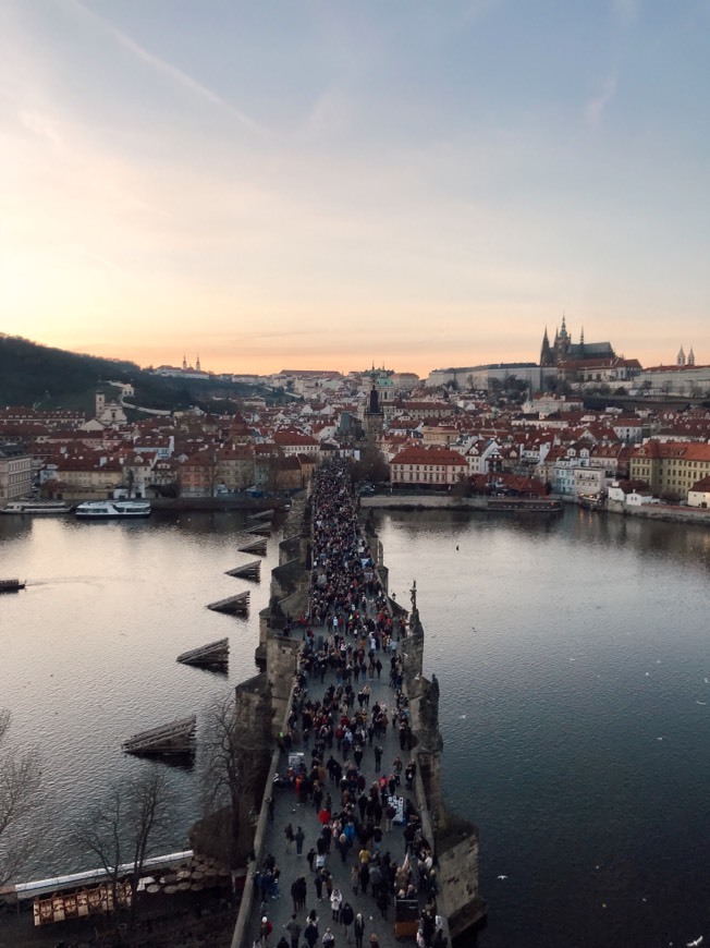 Place Charles Bridge