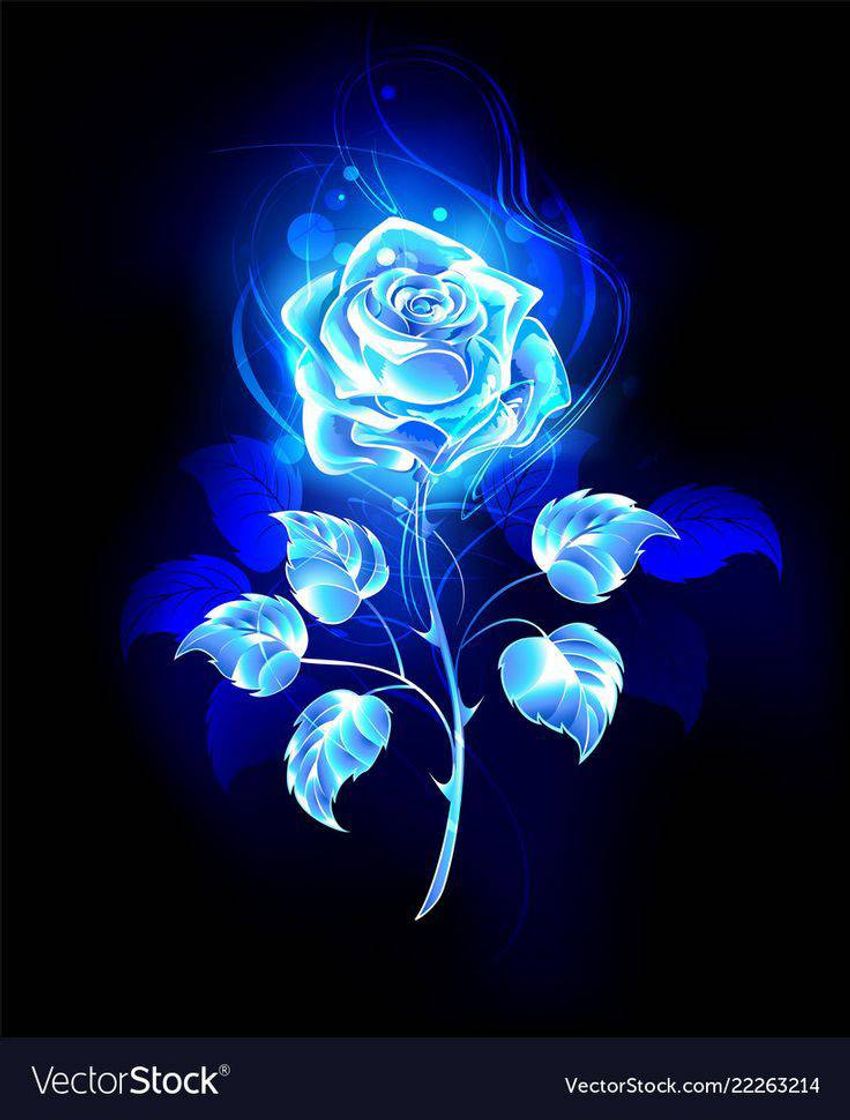 Fashion WALLPAPER 💙 BLUE ( ROSA 💙)