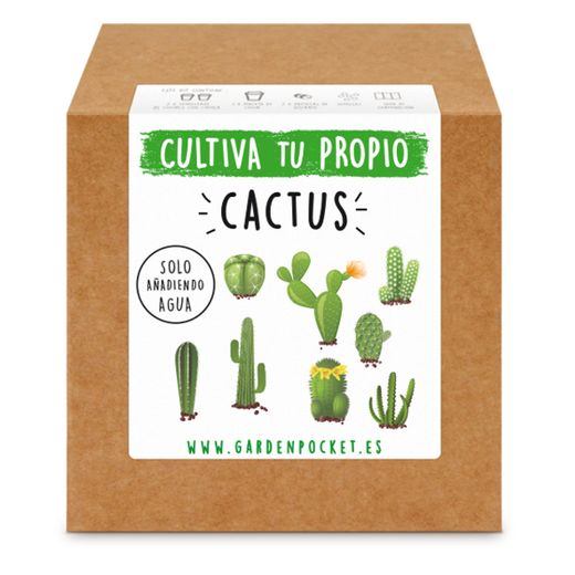 Kit para cultivar cactus
