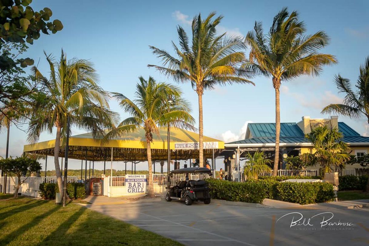 Restaurants Blue Pointe Bar and Grill