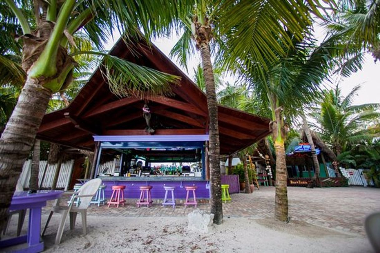 Restaurants Square Grouper Tiki Bar Jupiter Inlet