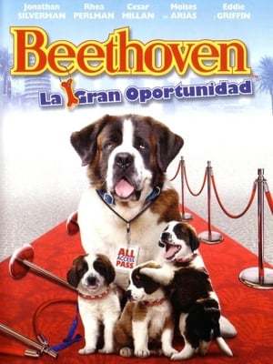 Película Beethoven: La gran oportunidad