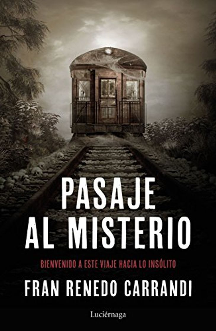 Book Pasaje al misterio: Un viaje hacia lo insólito