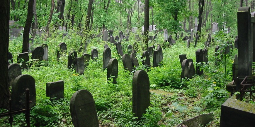 Lugares Jewish Cemetery Warsaw