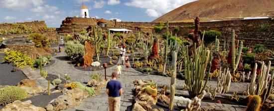 Place Jardín de Cactus de Lanzarote