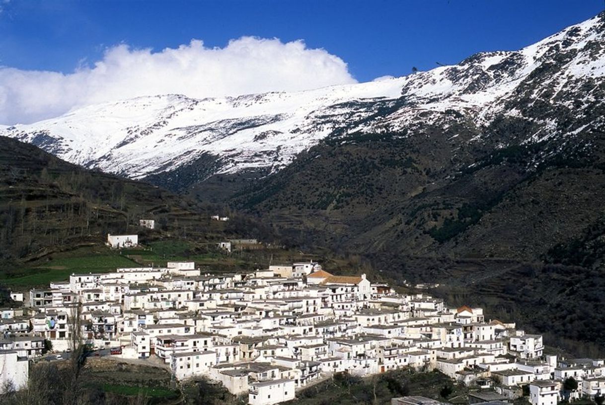 Place Alpujarra de la Sierra