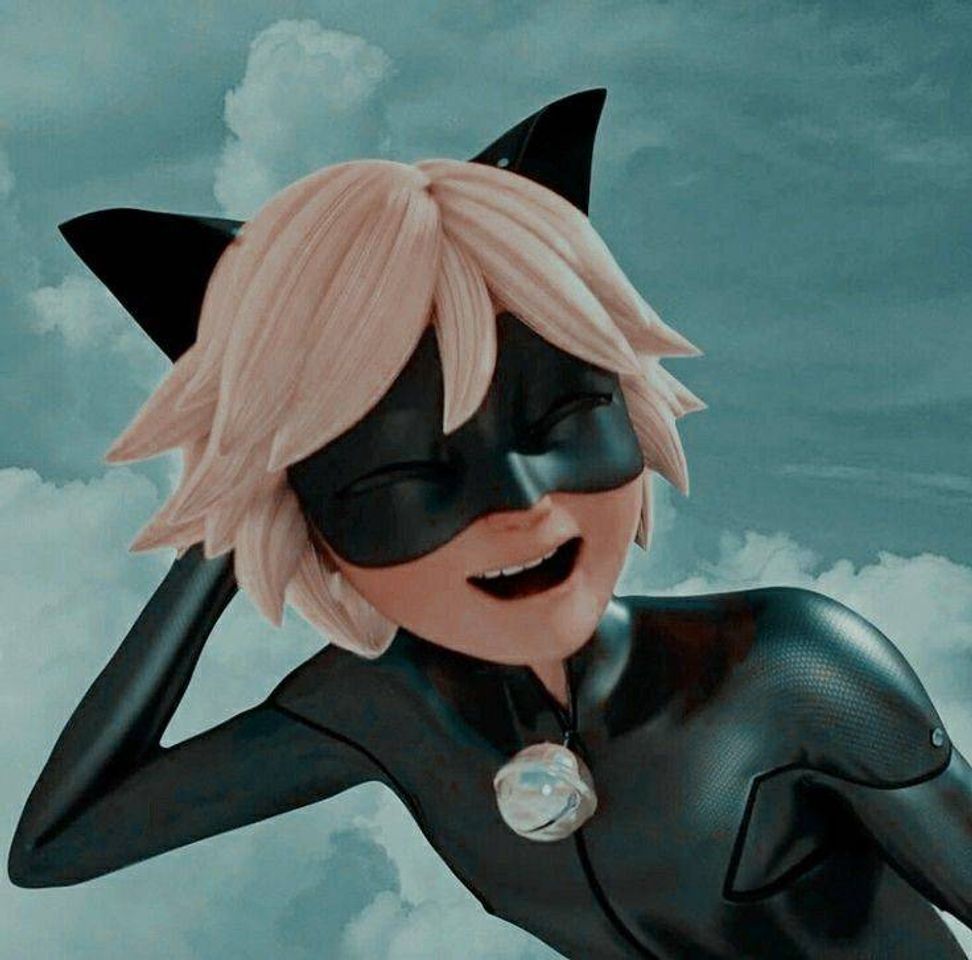 Moda Cat noir 