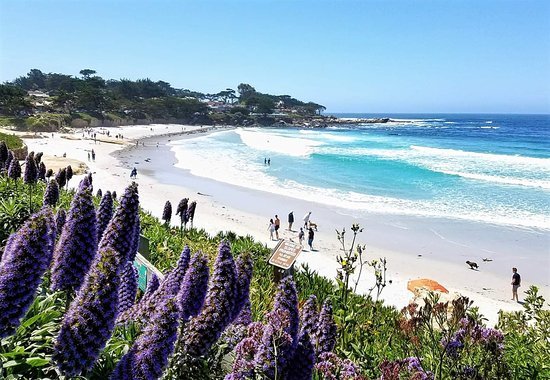 La Playa Carmel