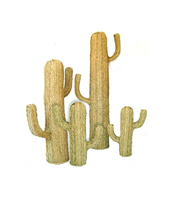 Product The Welly Home Cactus de Esparto Decorativo. 4 tamaños Disponibles.