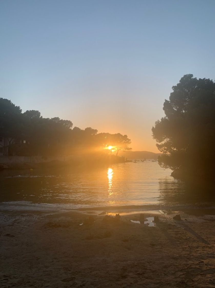 Lugares Cala de Santa Ponça