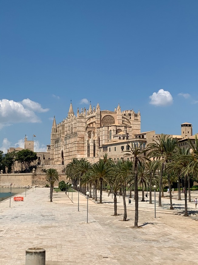 Moda Catedral de Santa María de Palma de Mallorca - Wikipedia, la ...