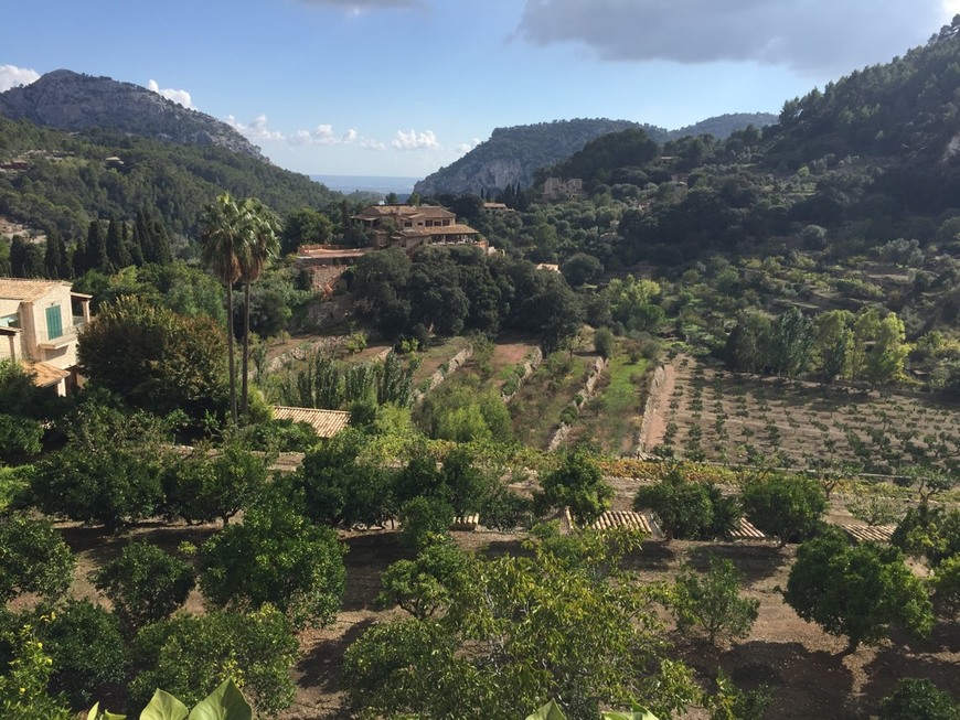 Moda Valldemossa, Mallorca (Majorca) | SeeMallorca.com