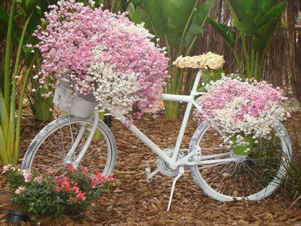 Fashion Bicicleta de jardim