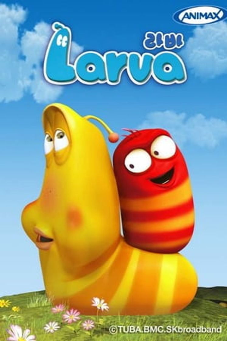 Series Larva