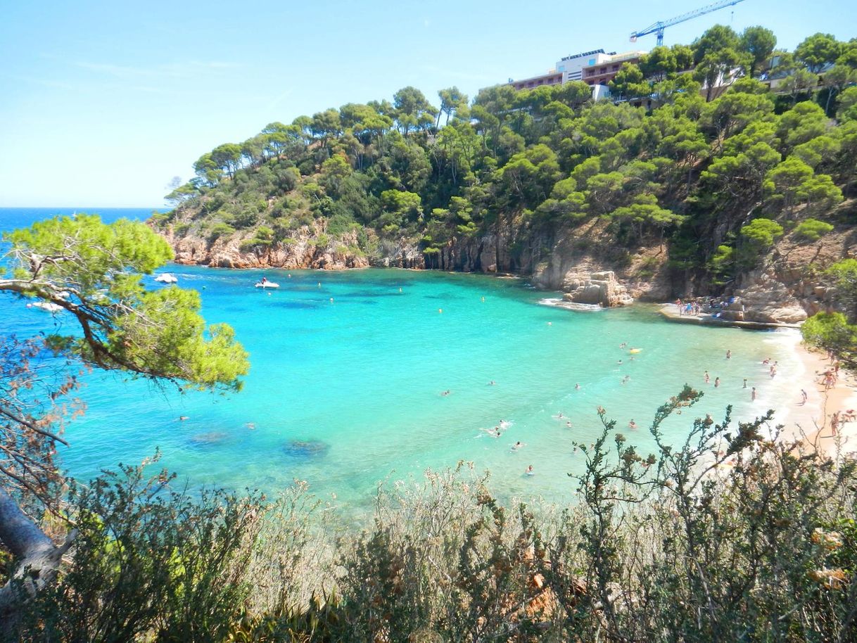 Restaurantes Playa Cala Aiguablava