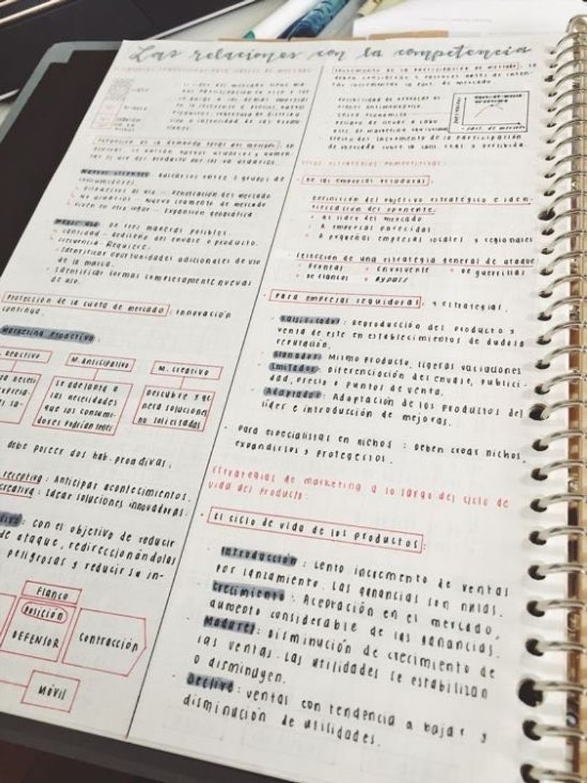 Moda Caderno organizado 📓