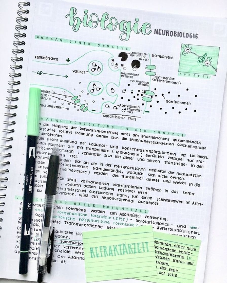 Fashion Organização de biologia 🧪 