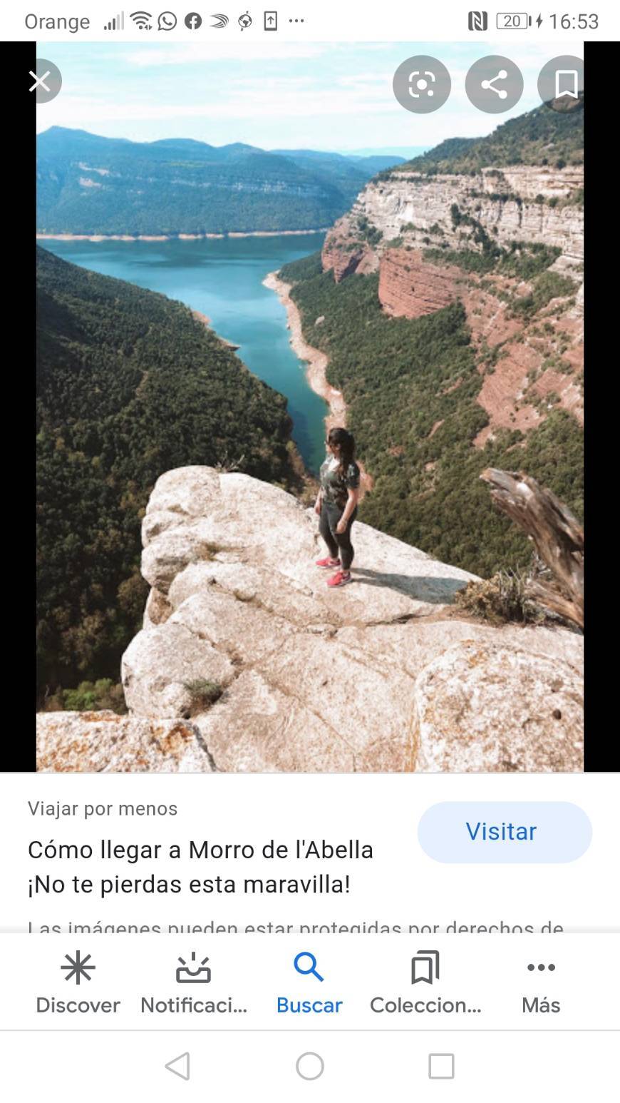 Moda Morro de l'abella 