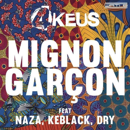 Mignon garçon (feat. Naza, KeBlack & Dry)
