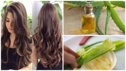 Moda Beneficios del aceite de argán para el pelo | Ingredientes que Suman