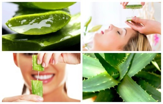 Aloe Vera para la Cara | Beneficios y Cómo usarlo