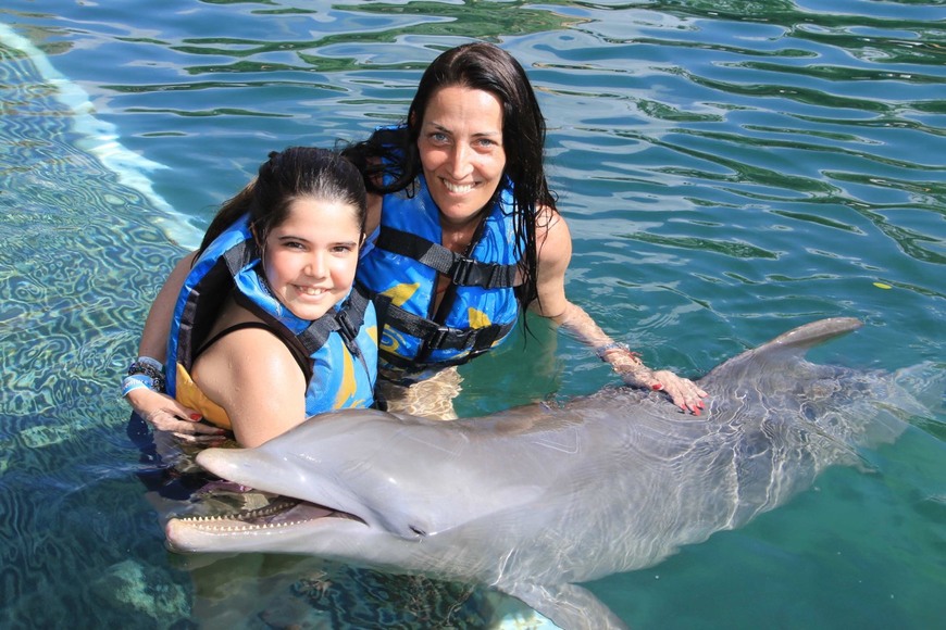 Lugar Dolphin Discovery Playa del Carmen Maroma