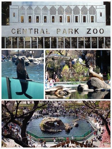 Zoológico de Central Park