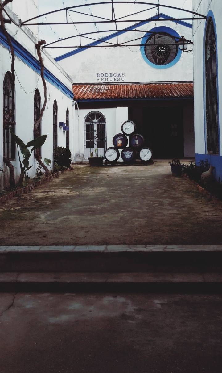 Bodegas Argüeso