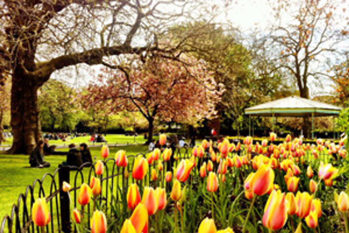 Lugar St. Stephen's Green