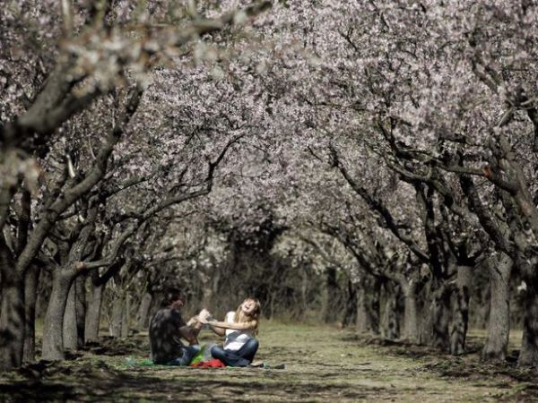 Place Parque de la Quinta de los Molinos