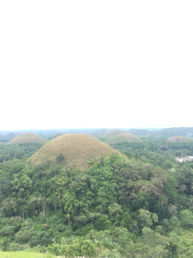 Place Chocolate Hills