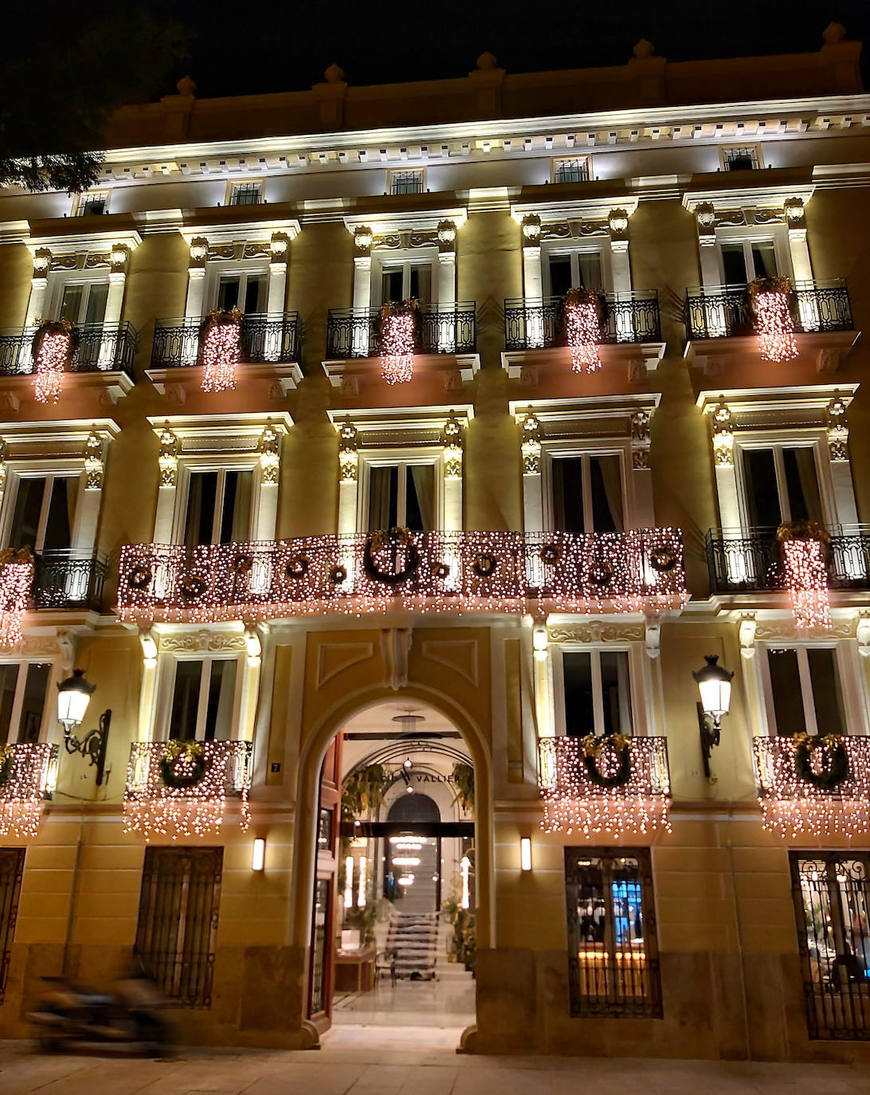 Place Hotel Palacio Vallier