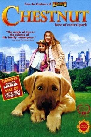 Película Chestnut: El héroe de Central Park